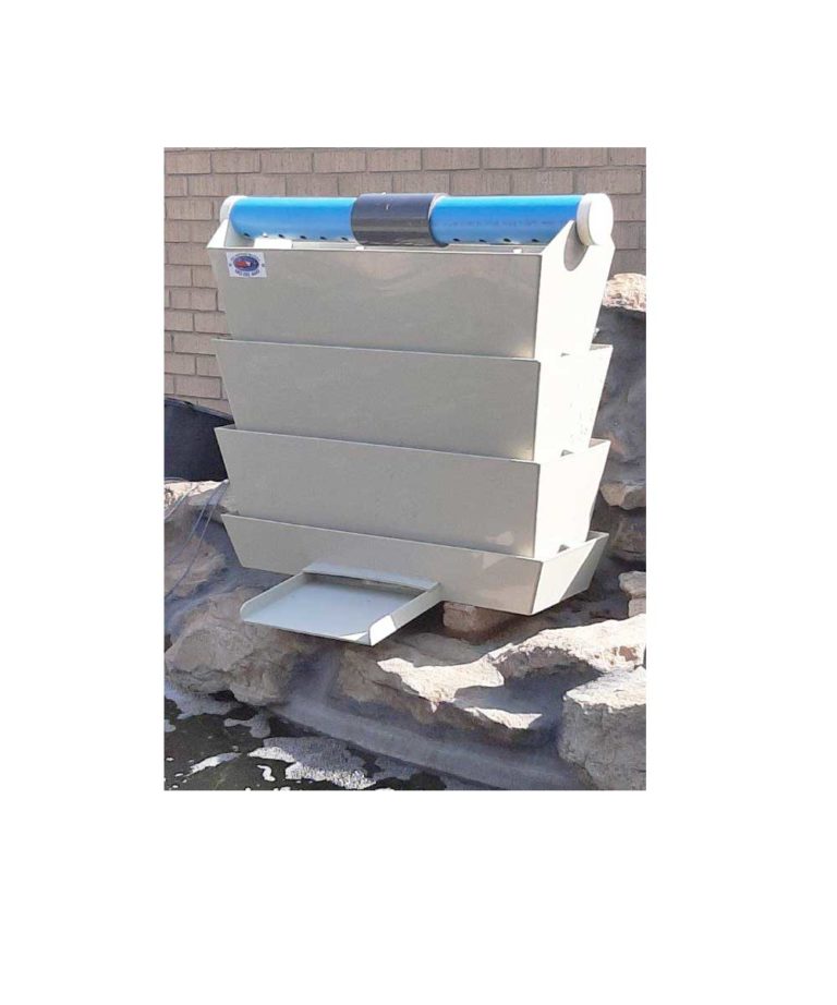 Bakki Showers Koi and Pond Services